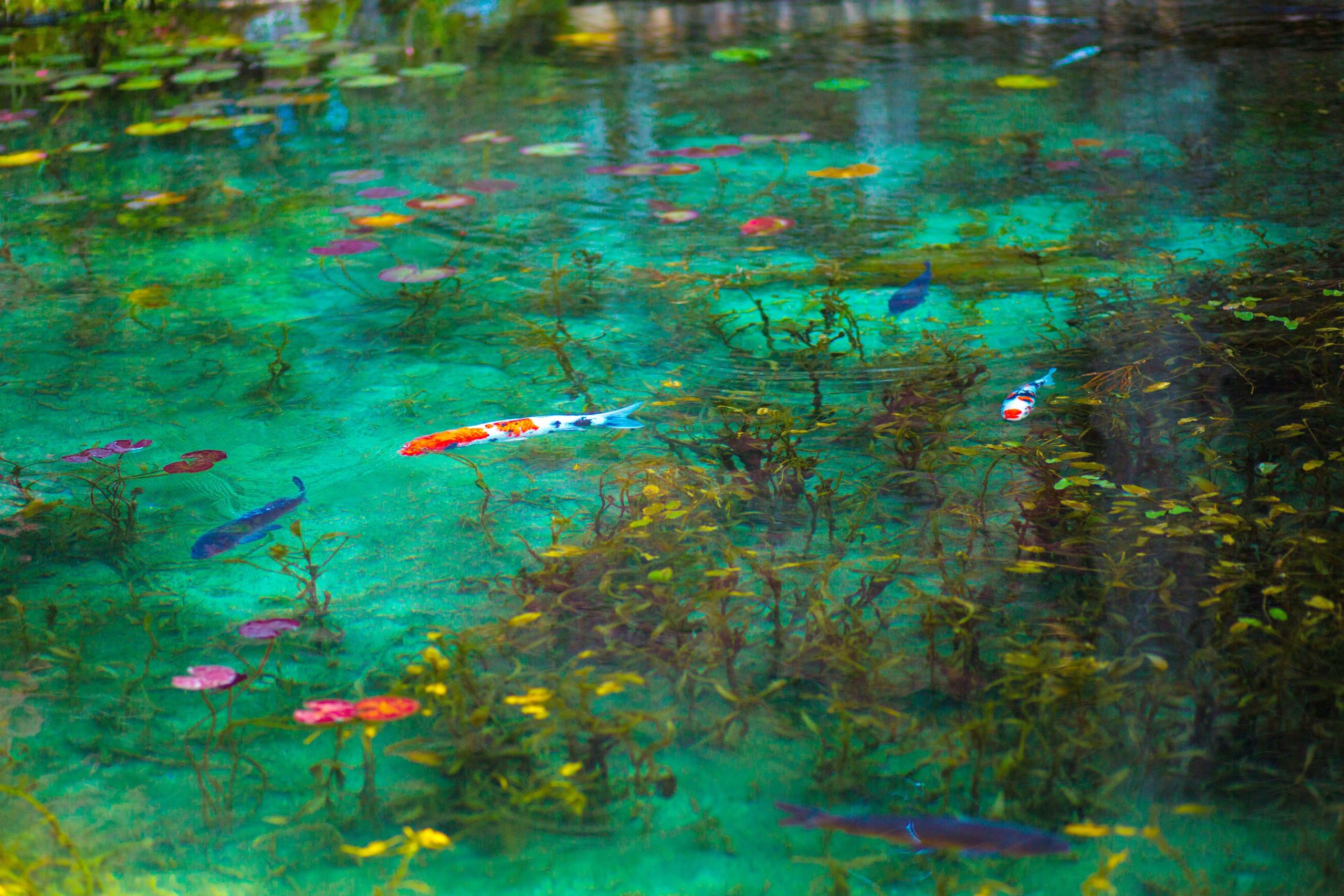 プロフィール背景画像